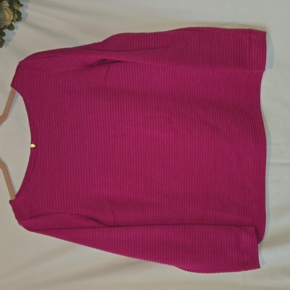 Talbots Medium Pink Crew Neck Sweater with Ribbed Texture Gold Zipper On Back - Picture 1 of 7